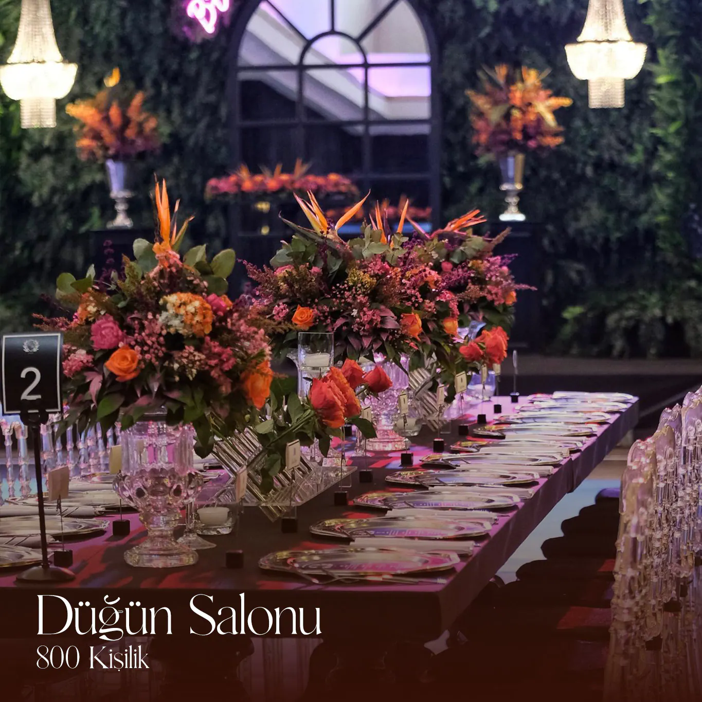 Baklavacı Hacıbaba — Düğün Salonu